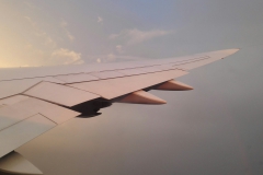 Flügel bei Sonnenaufgang