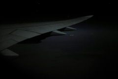 Flugel bei Nacht